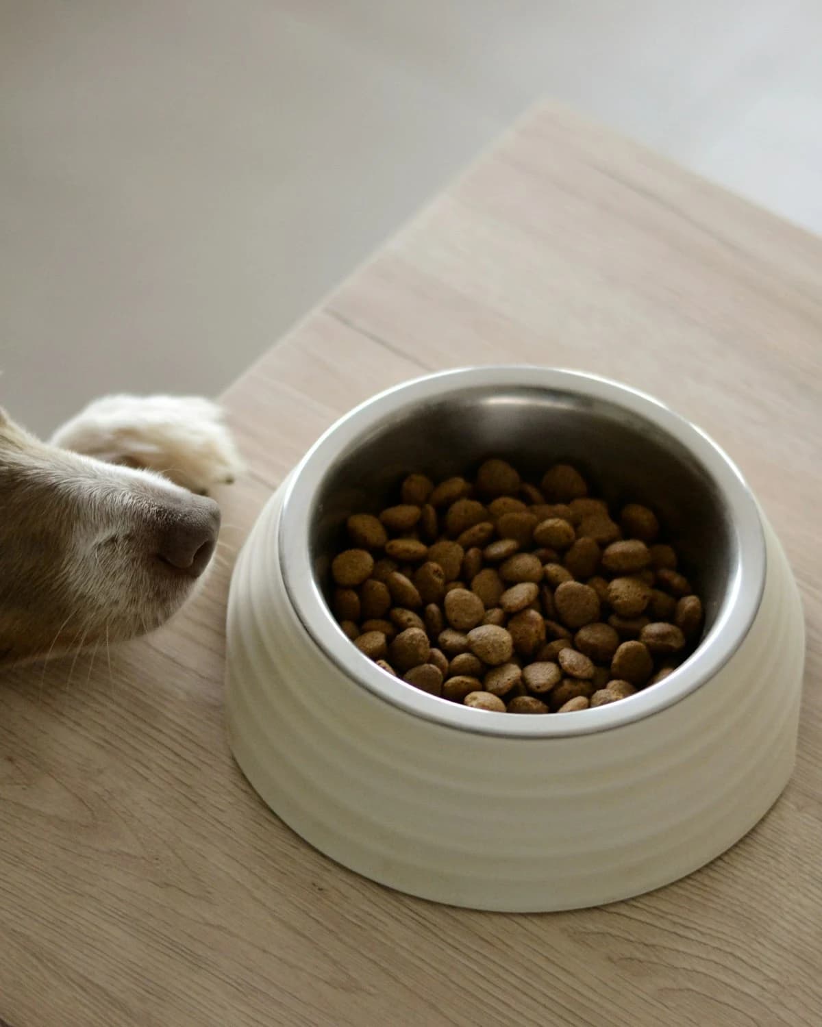 Tahılsız Somonlu Köpek Maması