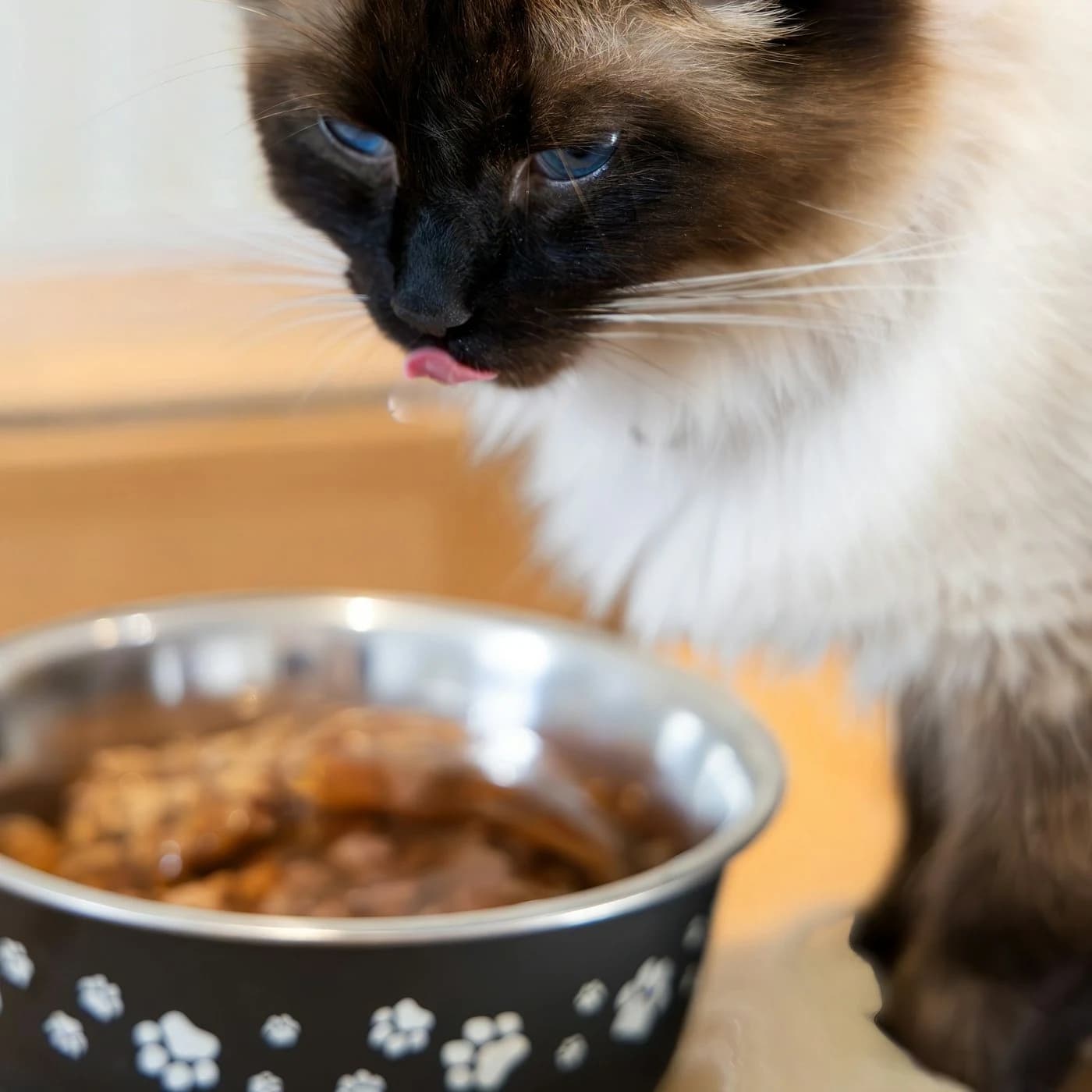 Ton Balıklı Yaş Kedi Maması